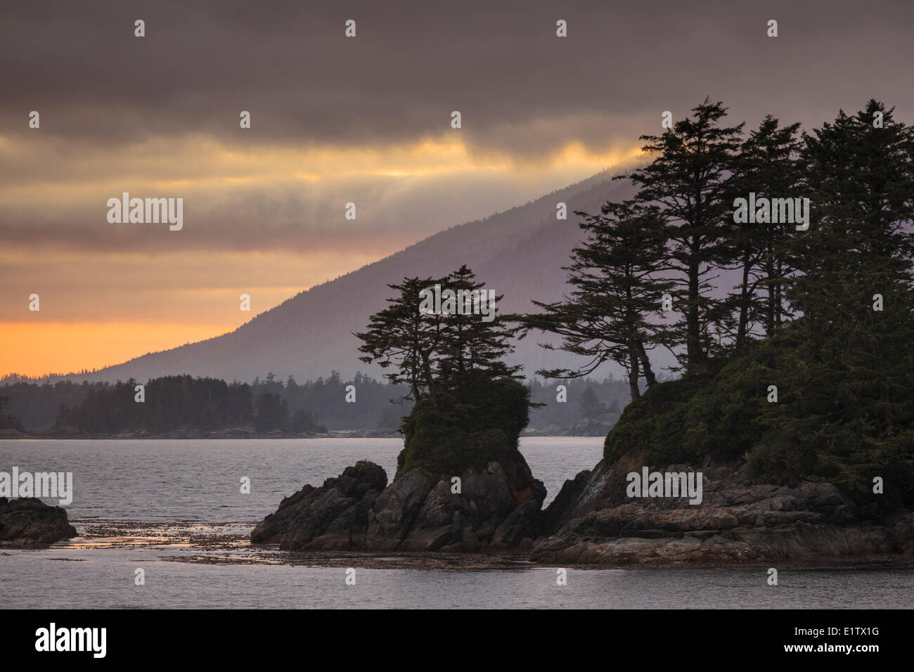 Evening light illuminates an islet off the shore of Flores Island in Clayoquot Sound British Columbia, Canada. Stock Photo