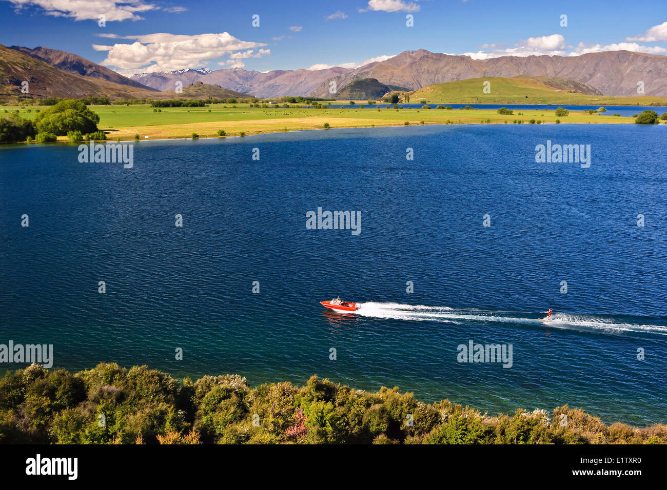 Waterskier on Lake Wanaka at Glendhu Bay, Central Otago, South Island, New Zealand. Stock Photo