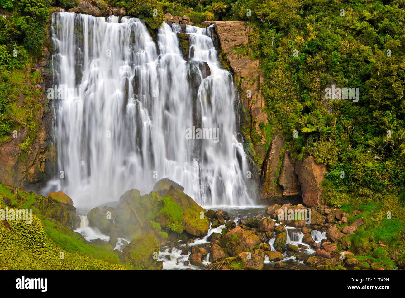 Marokopa Falls, Waikato, North Island, New Zealand. Marokapa Falls Scenic Reserve. Stock Photo