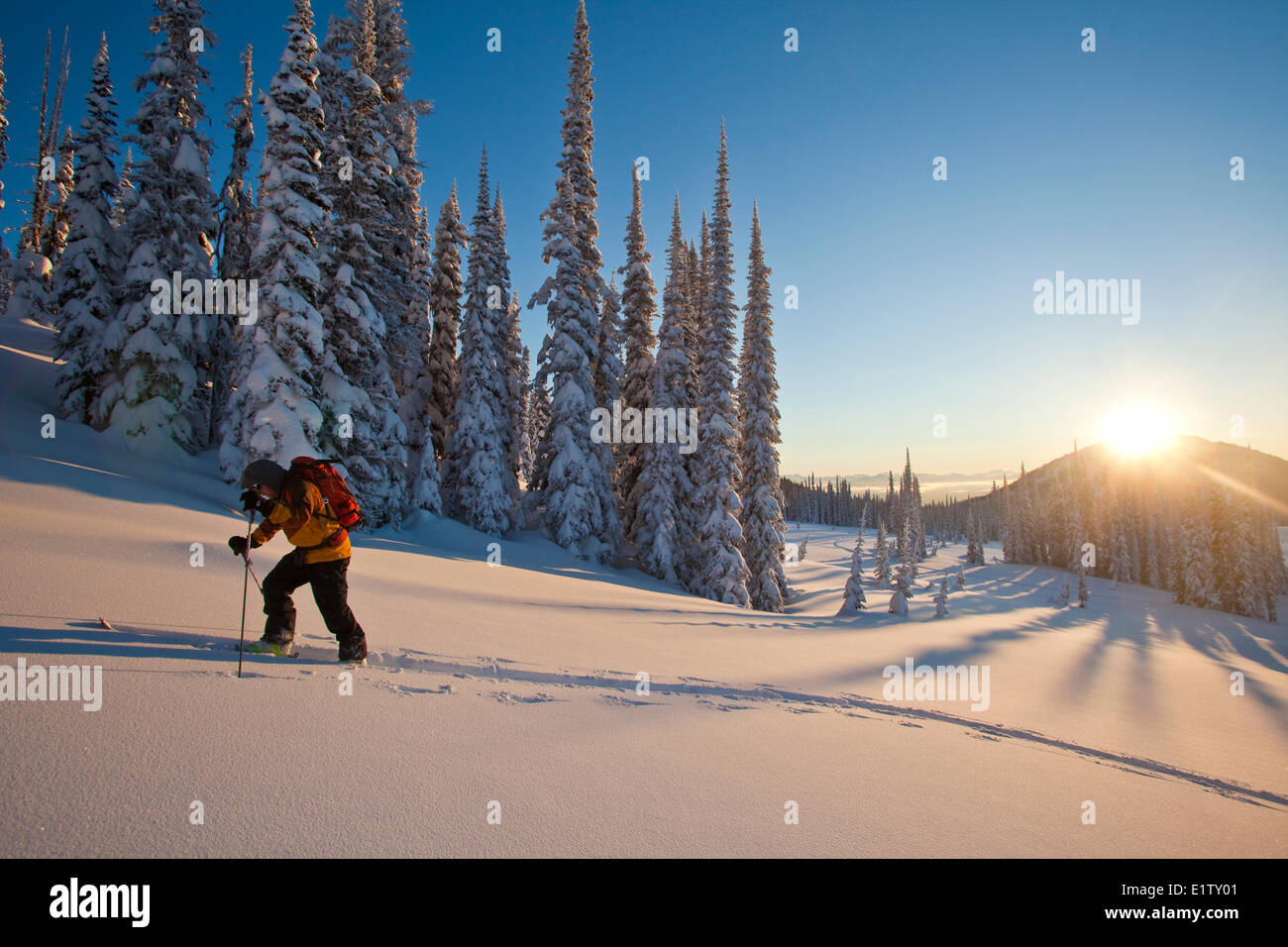 A man ski touring at sunrise.  Sol Mountain, Monashee Backcountry, Revelstoke, BC Stock Photo