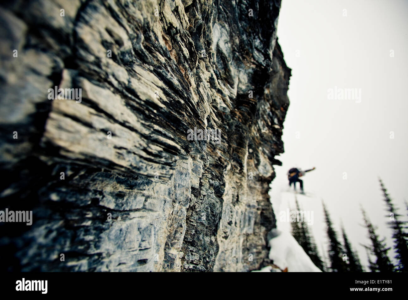 A man dropping a cliff on his splitboard. Revelstoke Mtn Resort Backcountry, BC Stock Photo