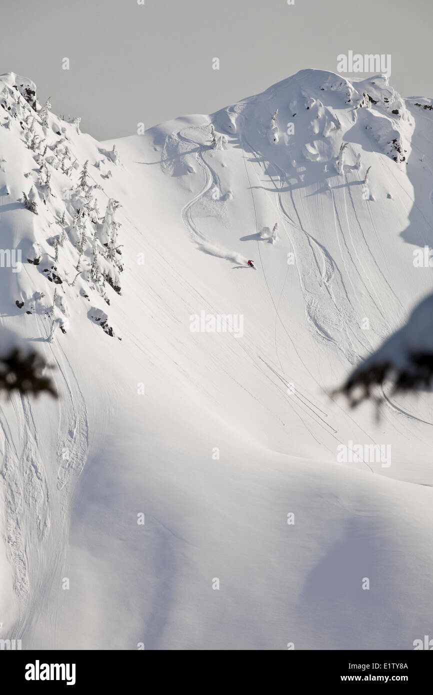 A male backcountry skier shreds sunny powder at Revelstoke Mtn Resort Backcountry, BC Stock Photo
