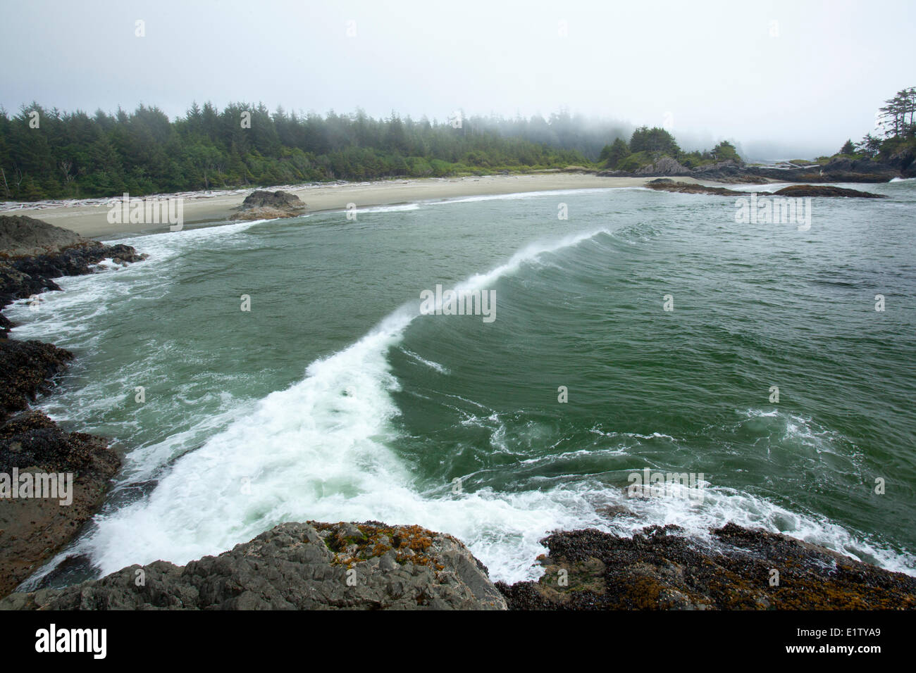 Waves swell up at the scenic Radar Beaches in Pacific Rim National Park near Tofino British Columbia Canada on Vancouver Island Stock Photo