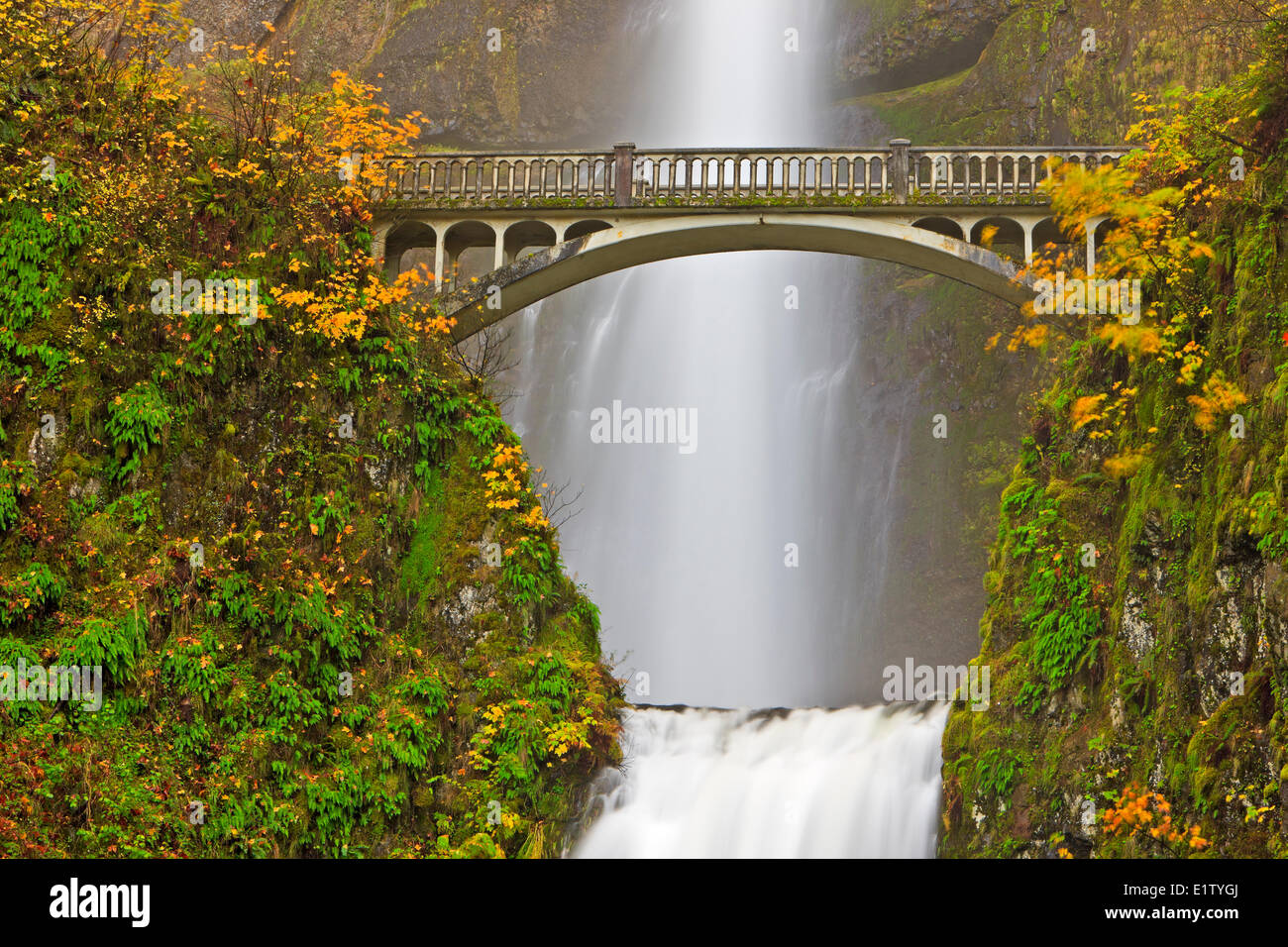 Tourist attraction Multnomah Falls a 611-foot-tall roaring awe-inspiring cascading waterfall in late fall with Benson Bridge Stock Photo