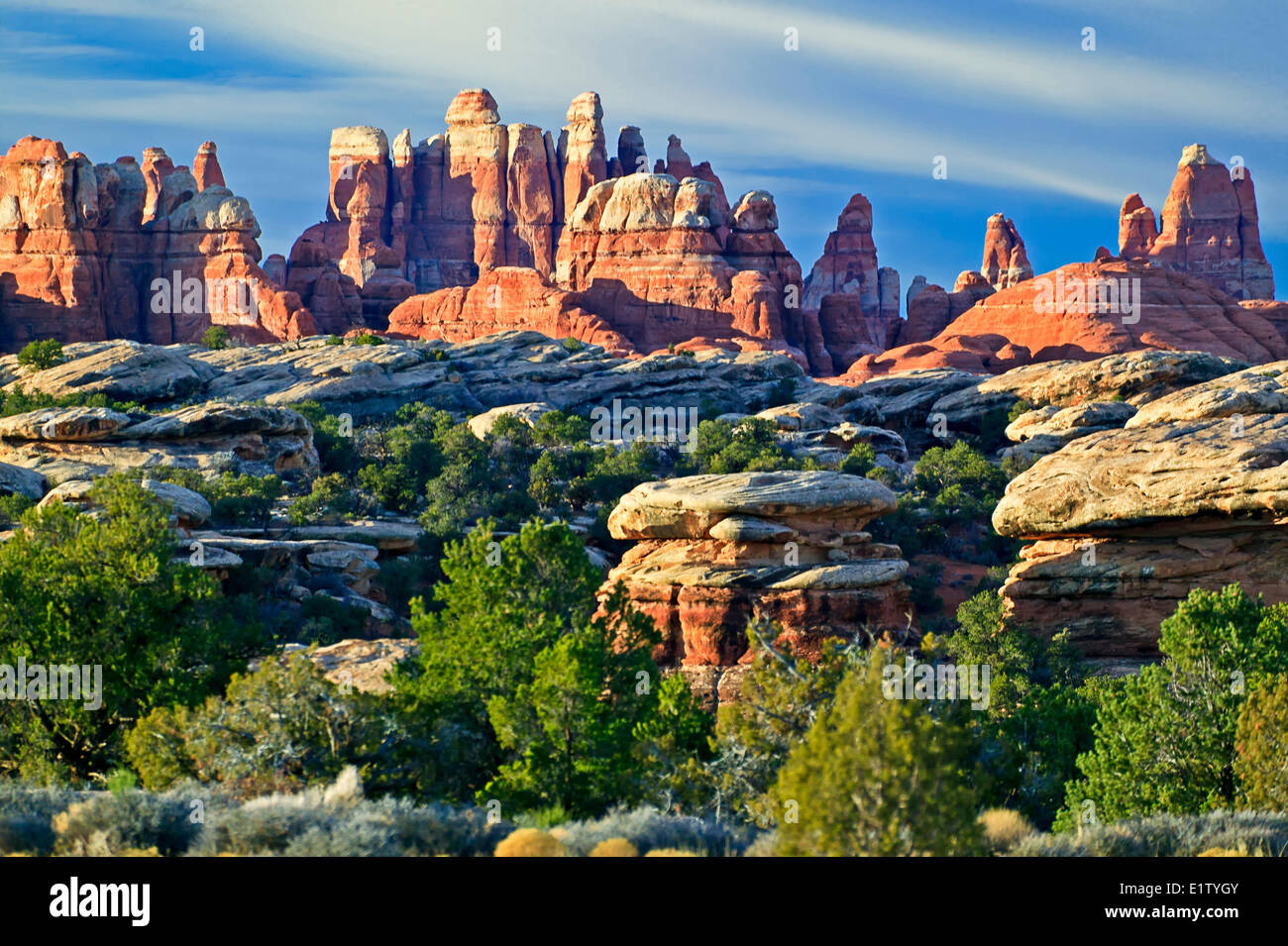 The Needles, The Needles District, Canyonlands National Park, Utah, USA, North America. Stock Photo