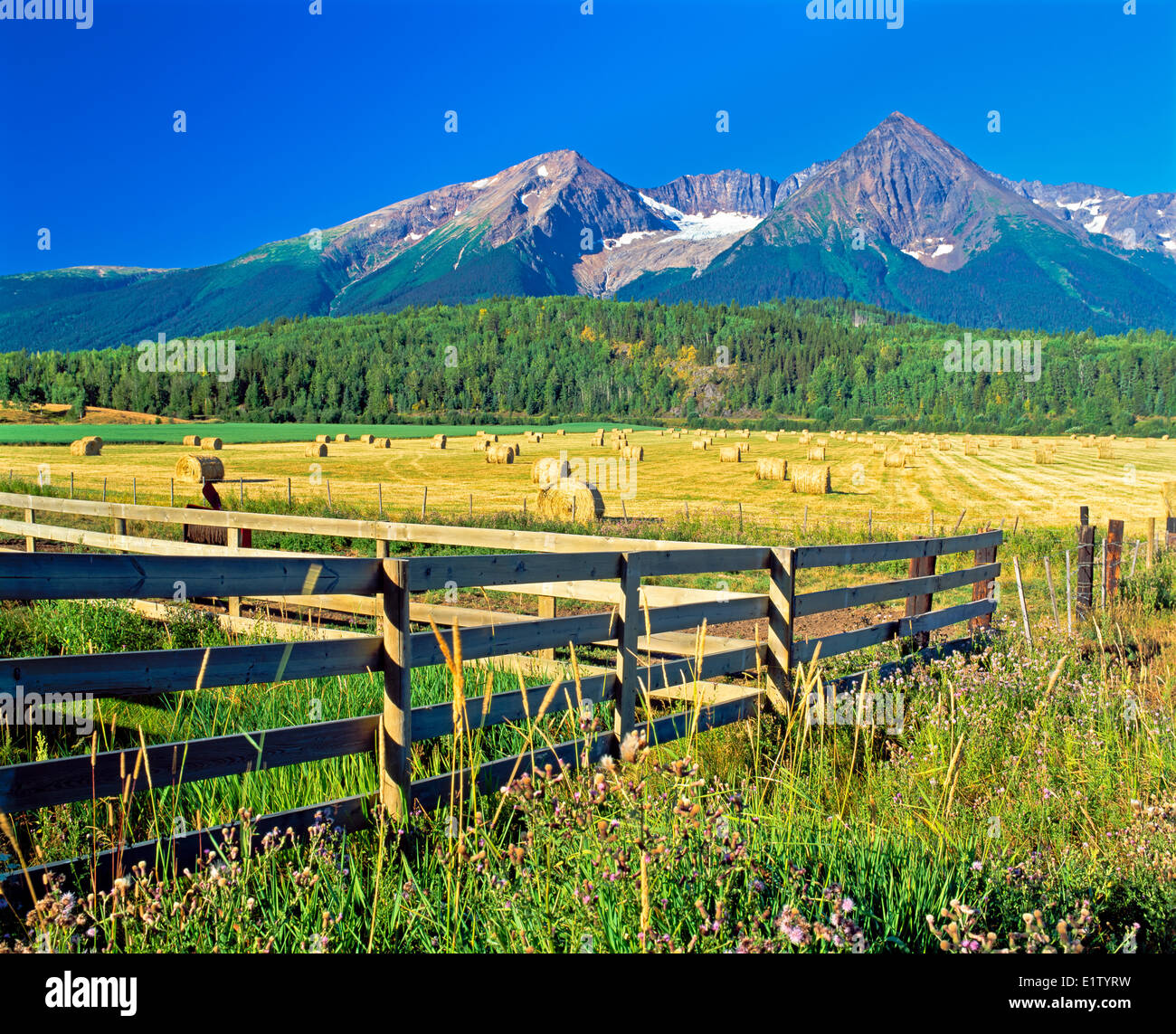 Hudson bay mountain hi-res stock photography and images - Alamy