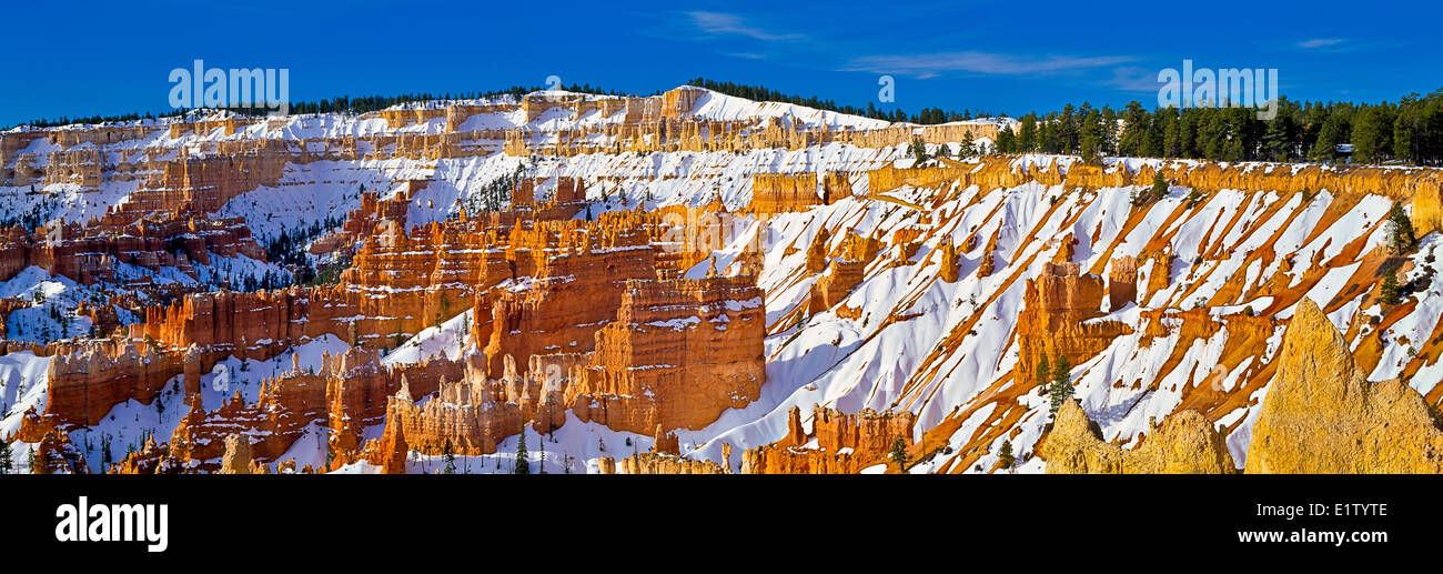 Panorama photo the natural amphitheater with hoodoos rock formations covered with snow in Bryce Canyon National Park in winter Stock Photo