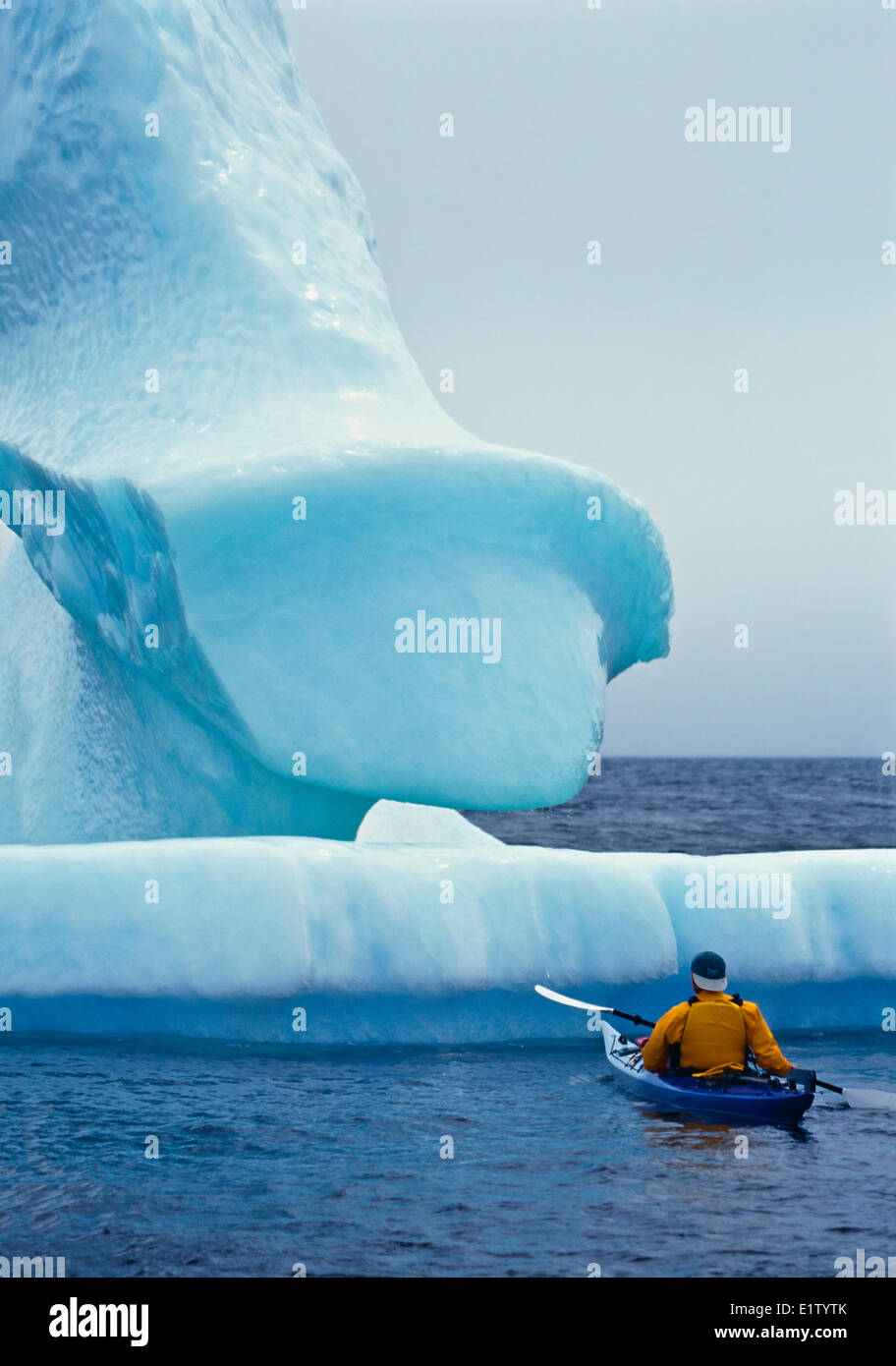 Conan Coates kayaking around an iceberg in the Atlantic Ocean along the Iceberg Alley near Hare Bay off the Great Northern Penin Stock Photo