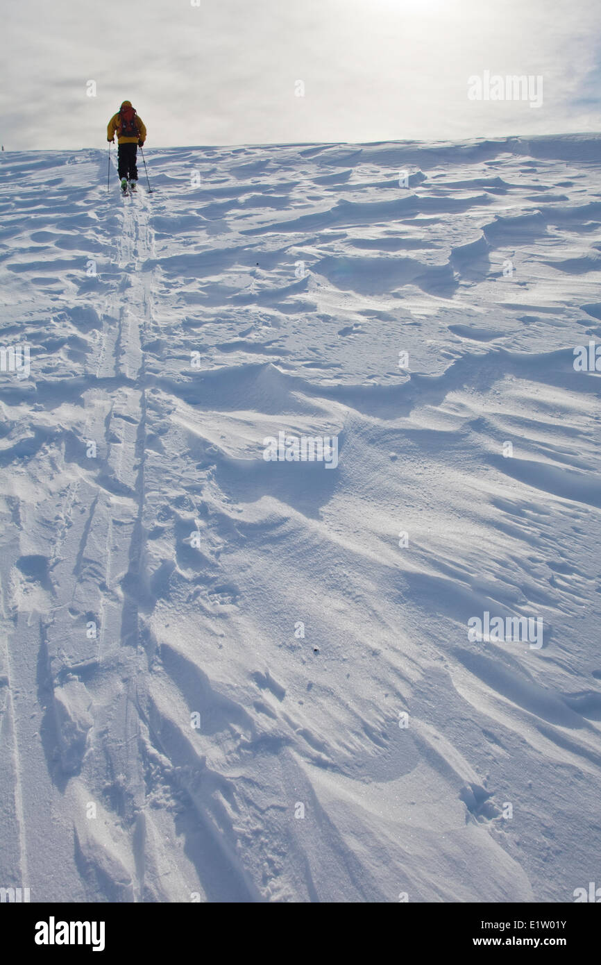 A male ski tourer skins along wind sastrugi, Sol Mountain Lodge, Monashee Backcountry, Revelstoke, BC Stock Photo