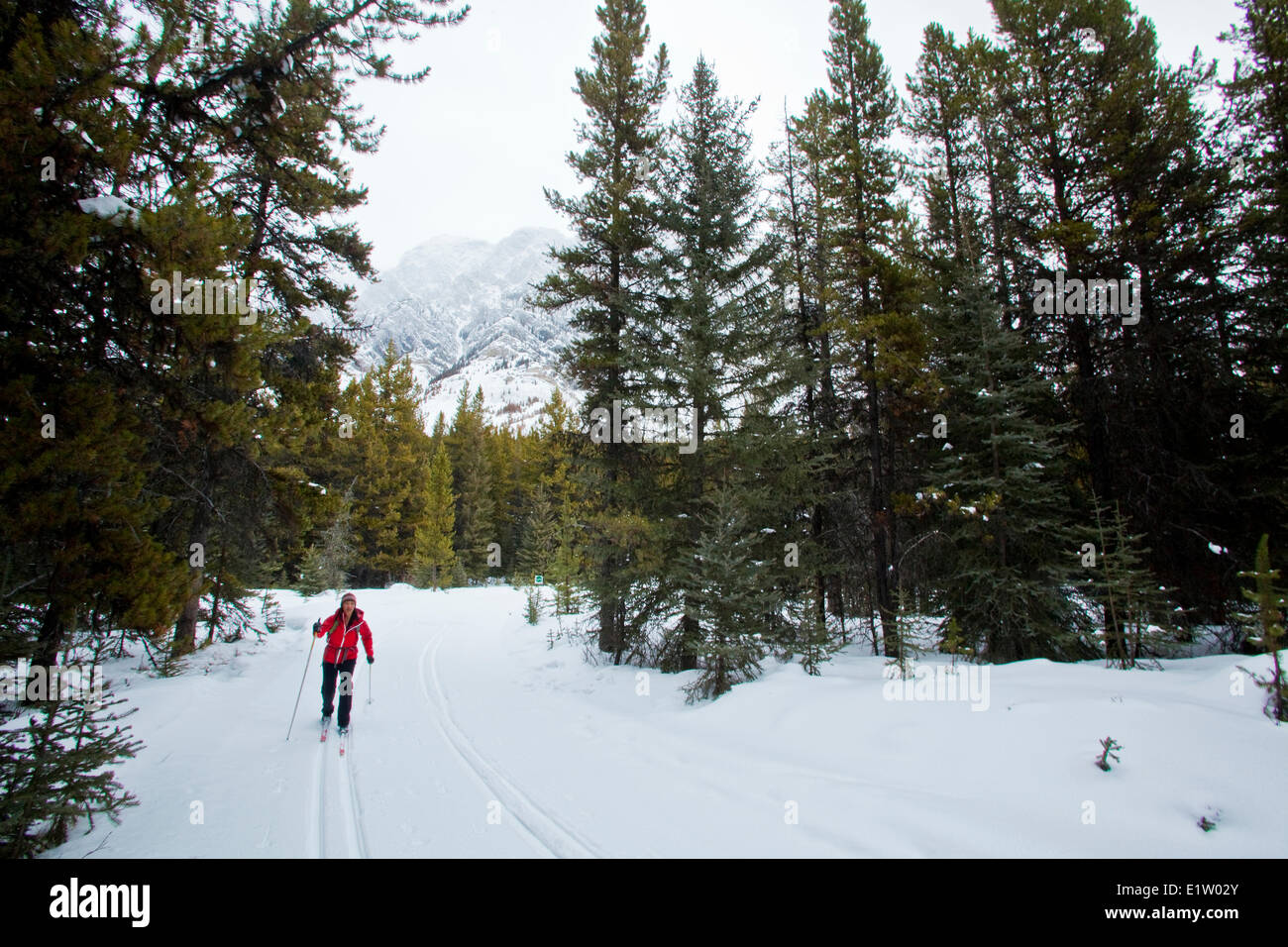 A young asian woman cross country skiing at Peter Lougheed Provincial