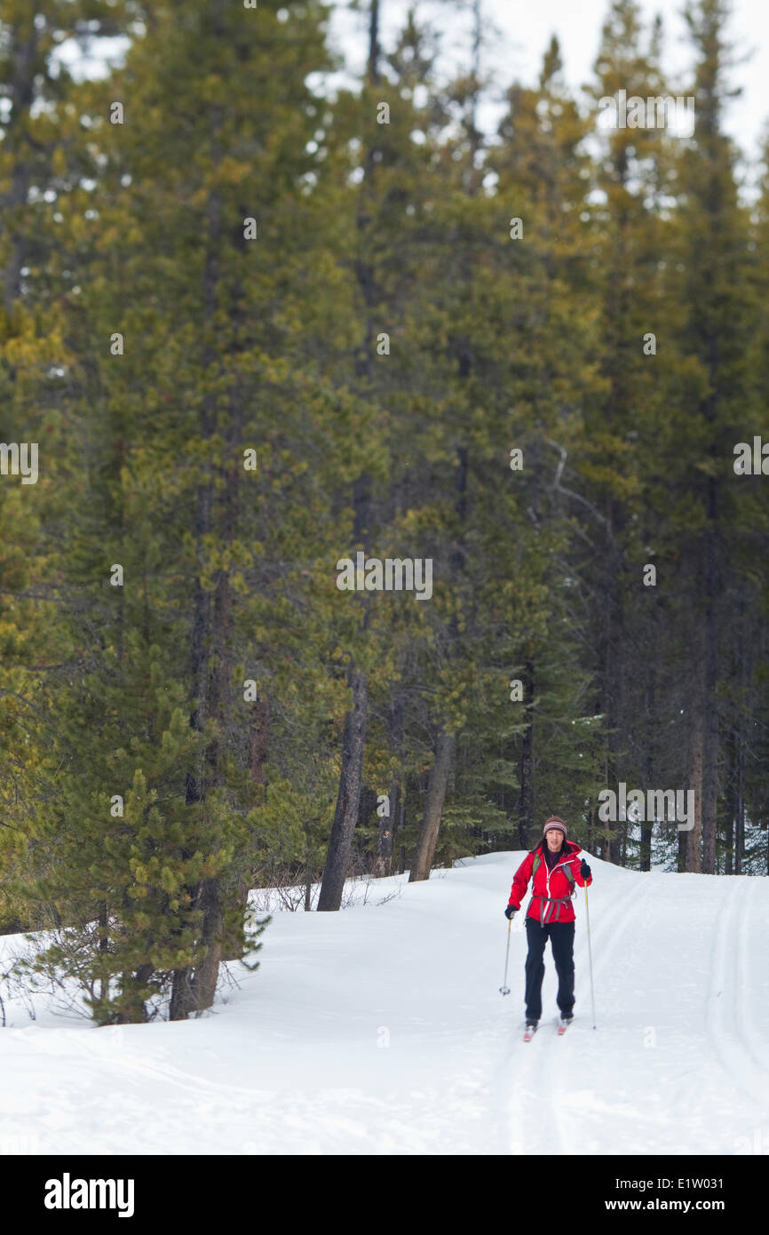 A young asian woman cross country skiing at Peter Lougheed Provincial Park,  Kananaskis, AB Stock Photo