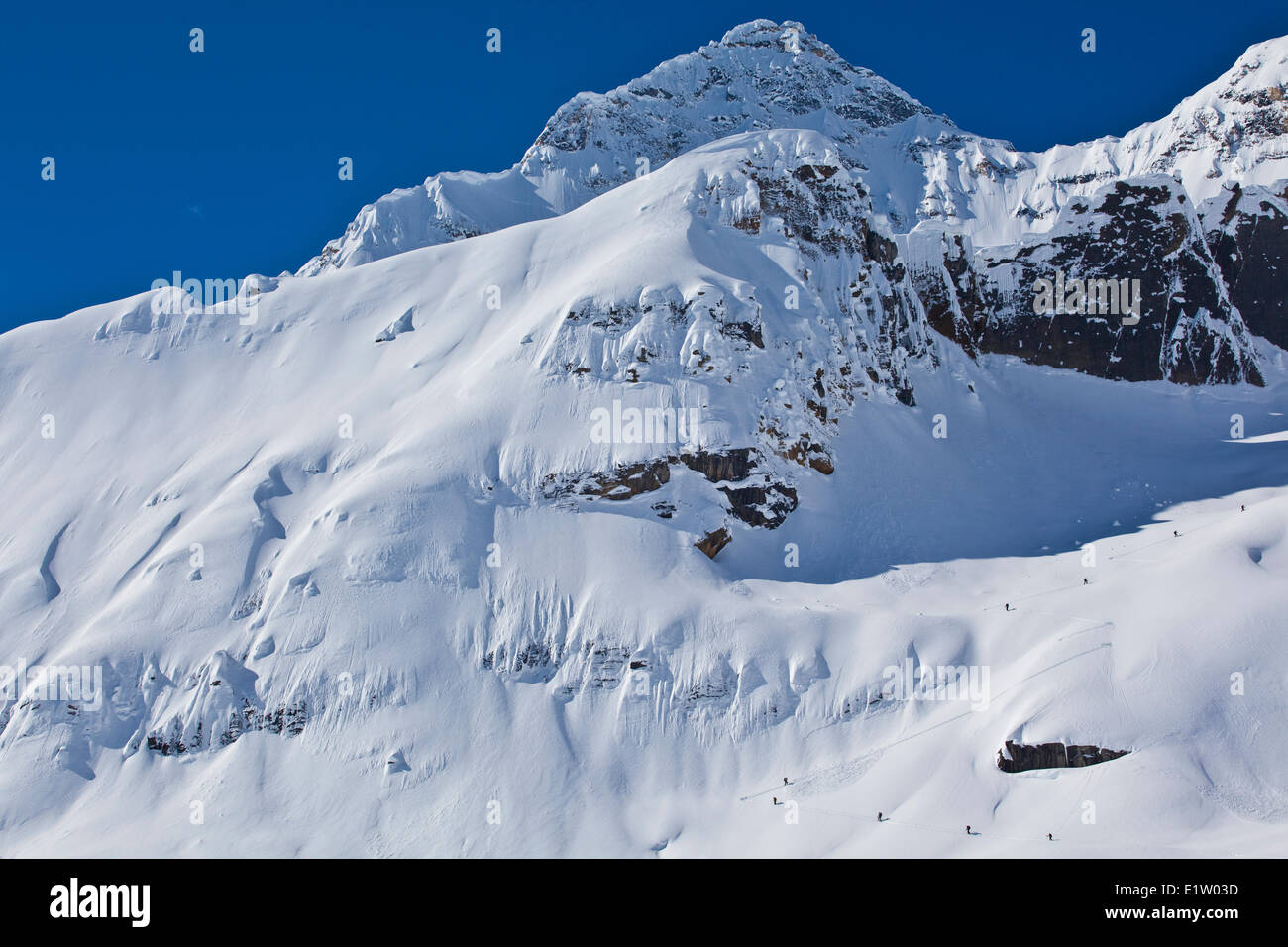 A group ski touring up the Diamond Glacier, Icefall Lodge, Golden, BC Stock Photo