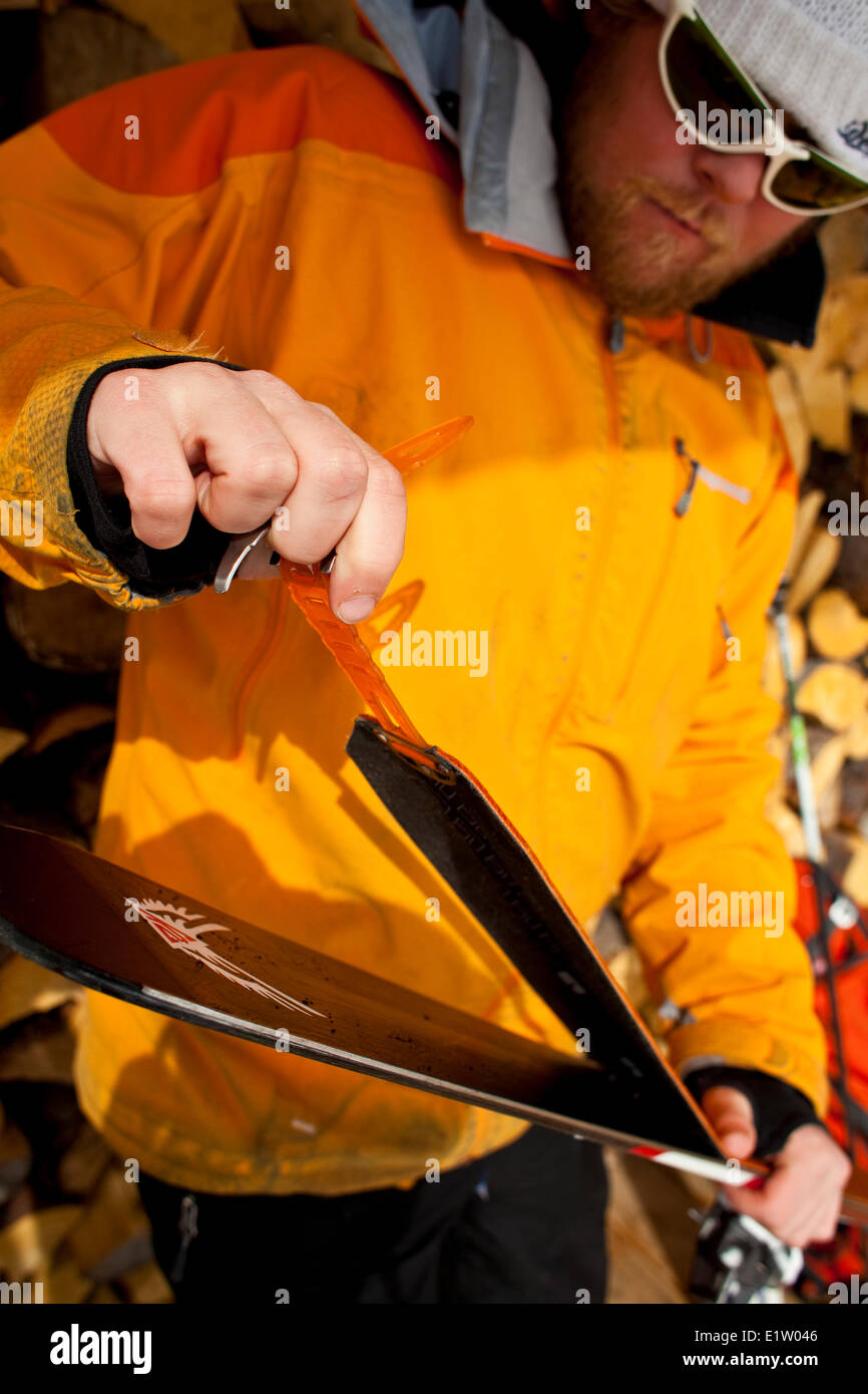 A backcountry skier puts his skins on to go for a tour.  Icefall Lodge, Canadian Rockies, Golden, BC Stock Photo