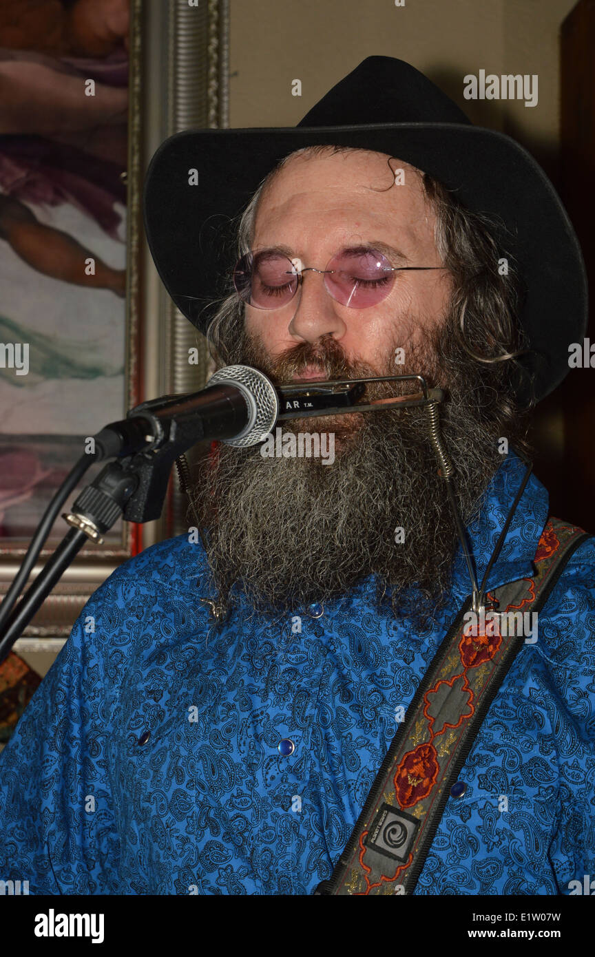 Lazer Lloyd, is a blues, rock, and folk guitarist, singer songwriter from Israel. Stock Photo