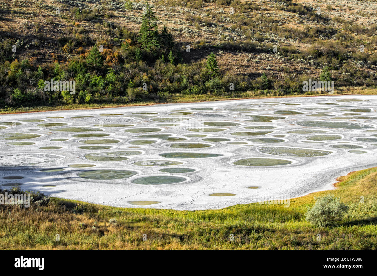 images Osoyoos Spotted Lake Fire https www alamy com stock photo spotted lake near osoyoos okanagan valley british columbia canada 70005160 html