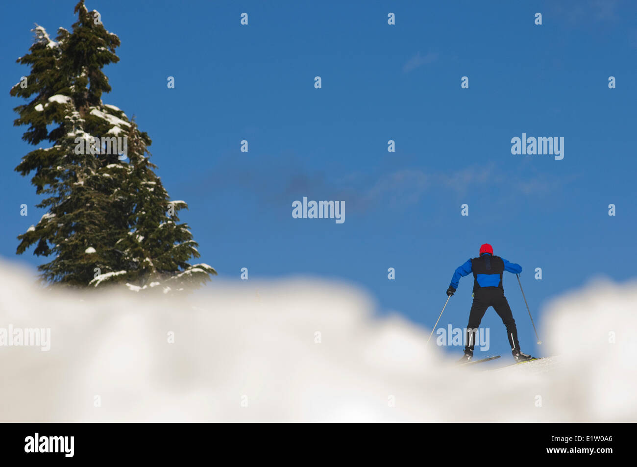 Nordic skate skiing at Cypress Mountain ski area, Hollyburn Mountain. Cypress Bowl, West Vancouver. British Columbia, Canada Stock Photo