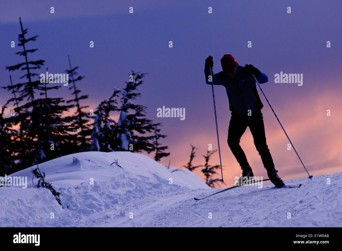 Nordic skate skiing at Cypress Mountain ski area, Hollyburn Mountain. Cypress Bowl, West Vancouver. British Columbia, Canada Stock Photo