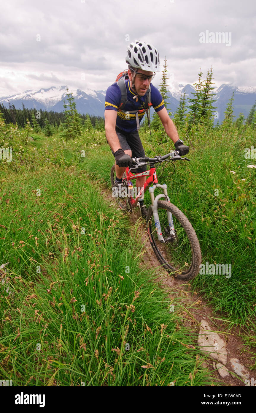 Mountain biking in Keystone-Standard Basin. Revelstoke. Kootenay Rockies region, British Columbia, Canada Stock Photo