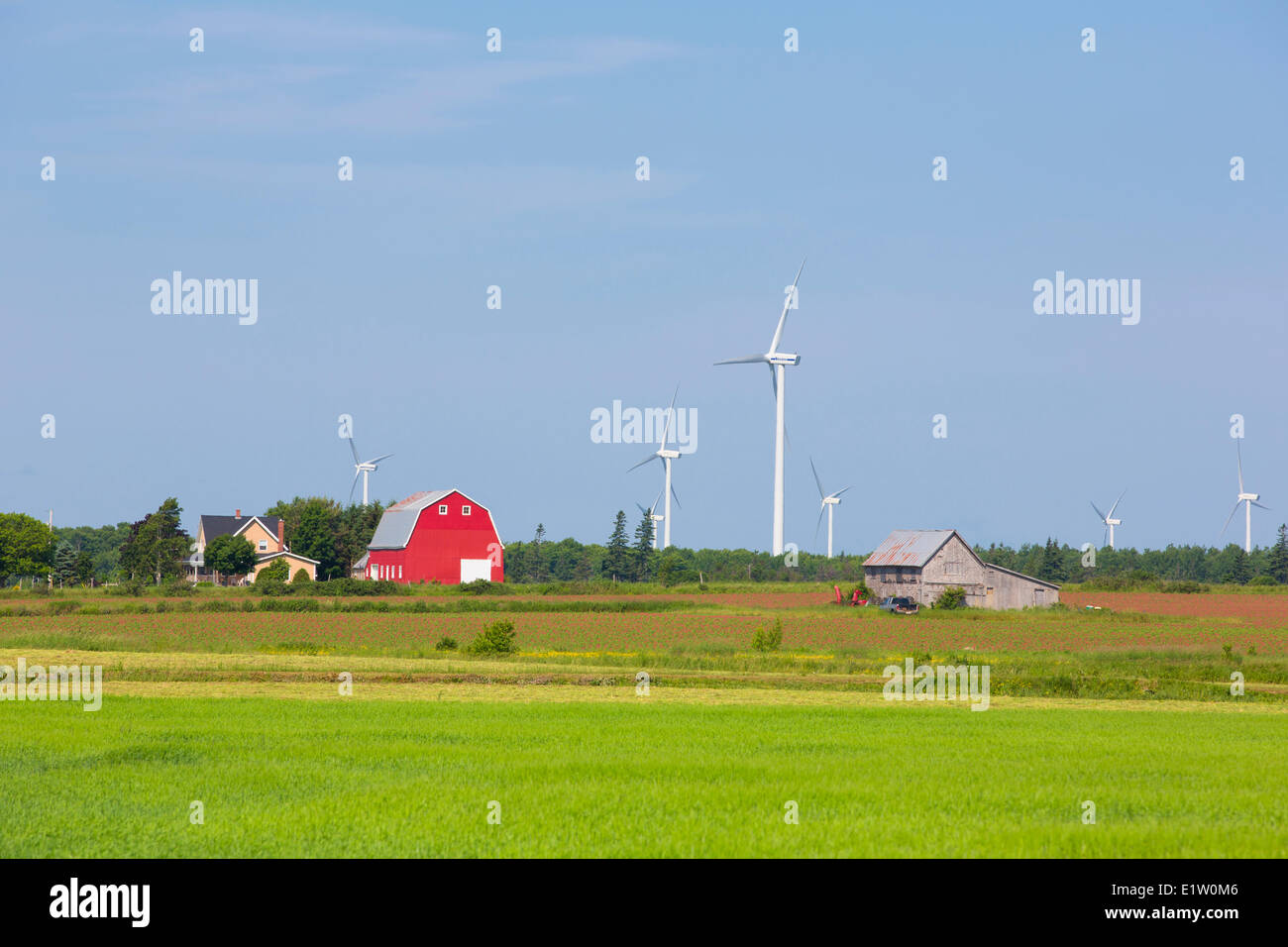 Farm and wind turbines, O' Leary, Prince Edward Island, Canada Stock Photo