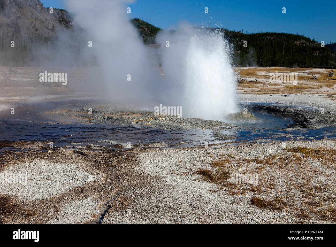 Eruption of Jewel Geyser, Biscuit Geyser Basin, Yellowstone National ...