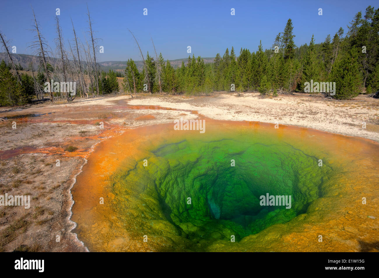 Morning Glory Pool, Upper Geyser Basin,Yellowstone National Park, Wyoming, USA Stock Photo