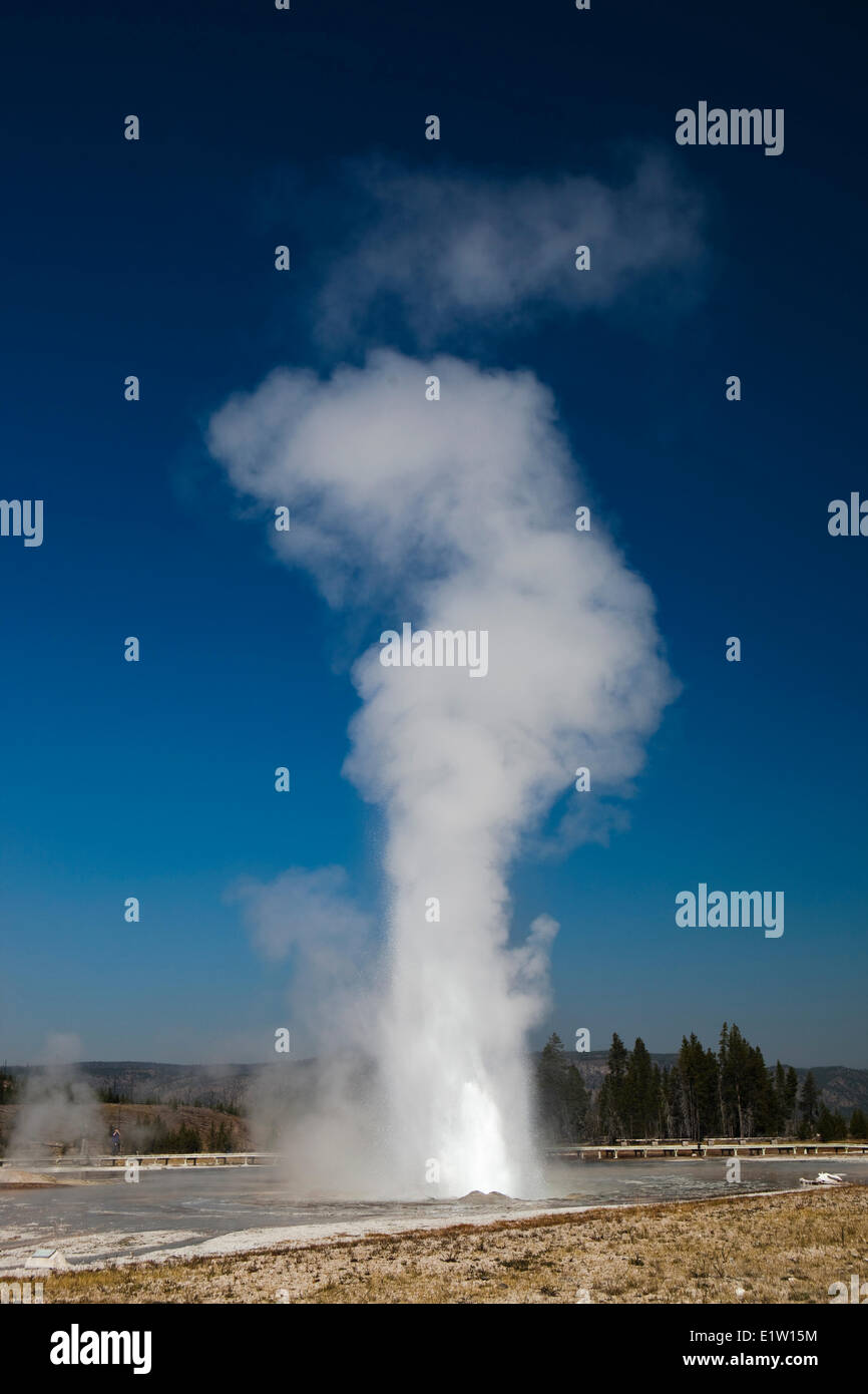Daisy Geyser, Upper Geyser Basin, Yellowstone National Park, Wyoming