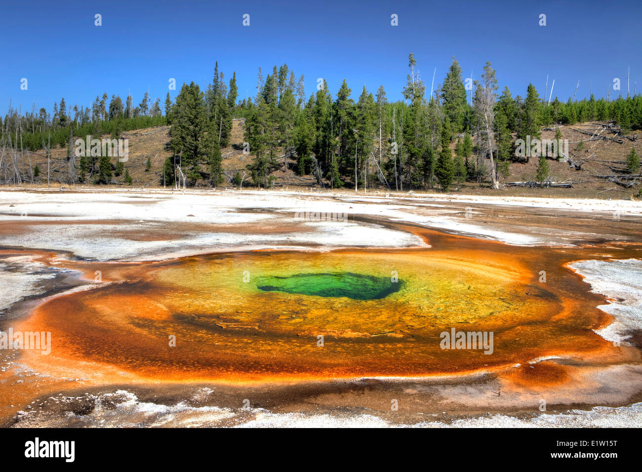 Chromatic Pool, Upper Geyser Basin, Yellowstone National Park, Wyoming, USA Stock Photo