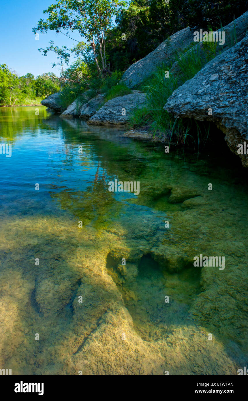 Petrified Dinosaur footprints in the Paluxy River. Stock Photo