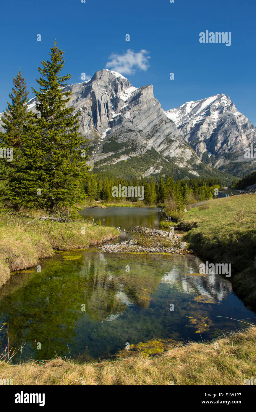 Mount Kid reflected in pond, Kananaskis Provincial Park, Alberta, Canada Stock Photo