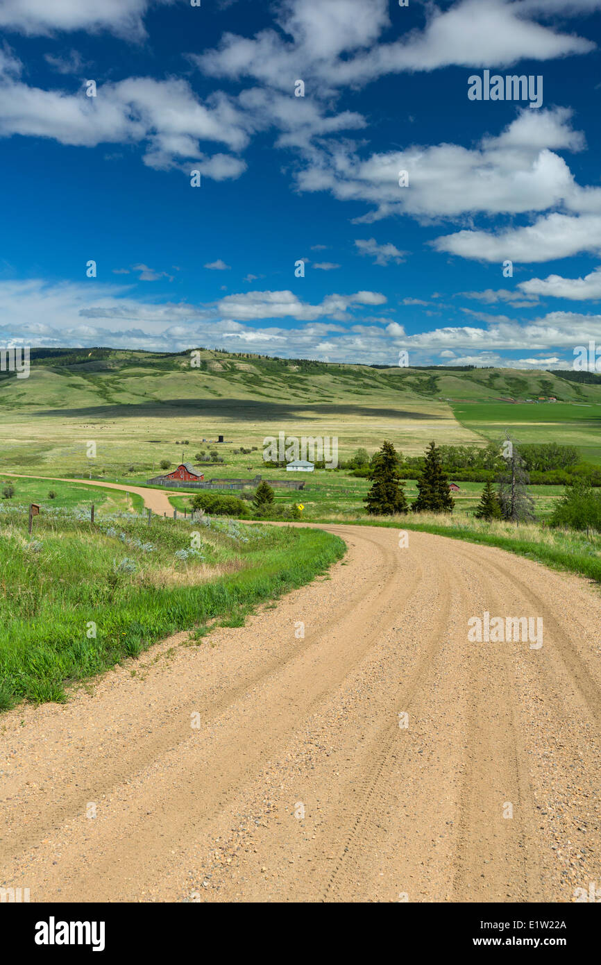 Eagle Butte, Cypress Hills, Alberta, Canada Stock Photo Alamy