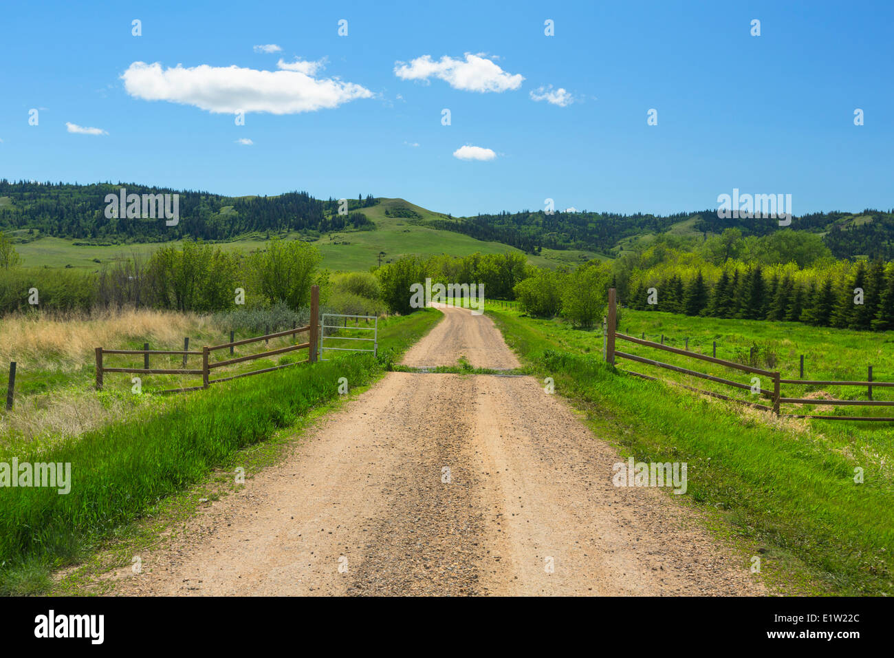 Eagle Butte, Cypress Hills, Alberta, Canada Stock Photo Alamy