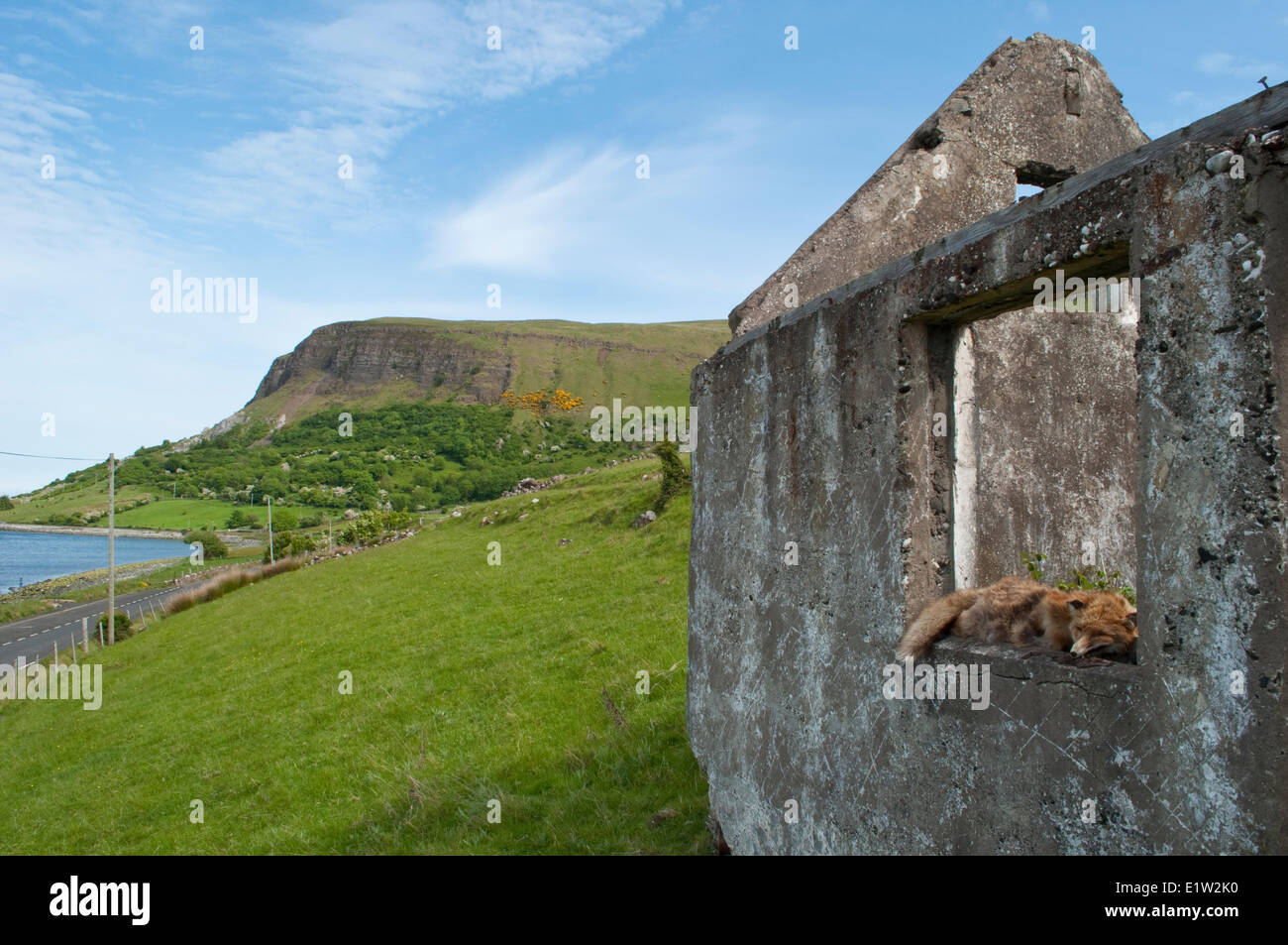 Seaside drive, Coast Road, County Antrim, Northern Ireland Stock Photo