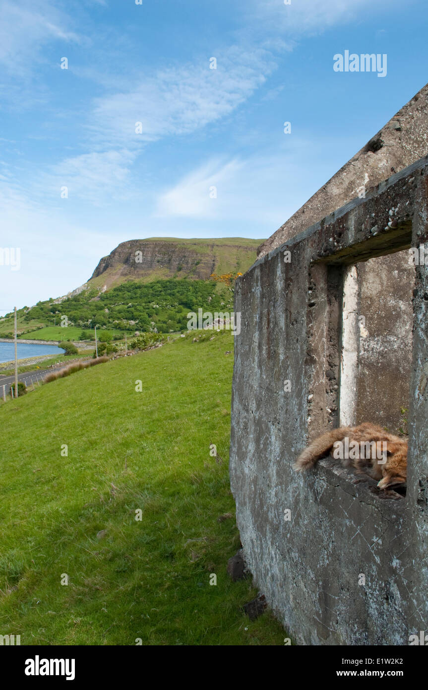 Seaside drive, Coast Road, County Antrim, Northern Ireland Stock Photo