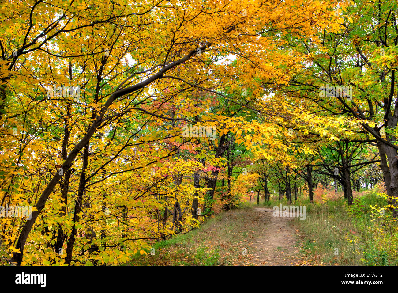 Autumn Niagara Escarpment Ontario Canada Stock Photo