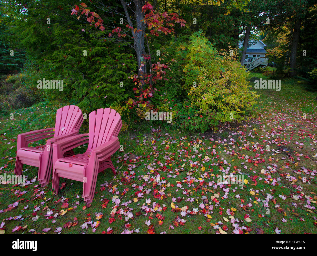Fallen Leaves on Cottage lakefront, Lake Hughes, Quebec Stock Photo Alamy