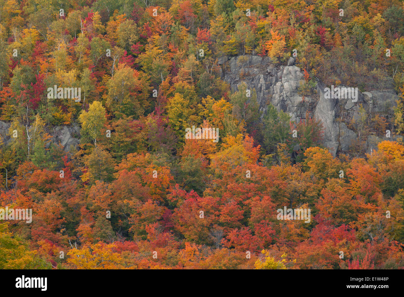 Morin Heights Ski Area in Autumn, Laurentians, Quebec Stock Photo