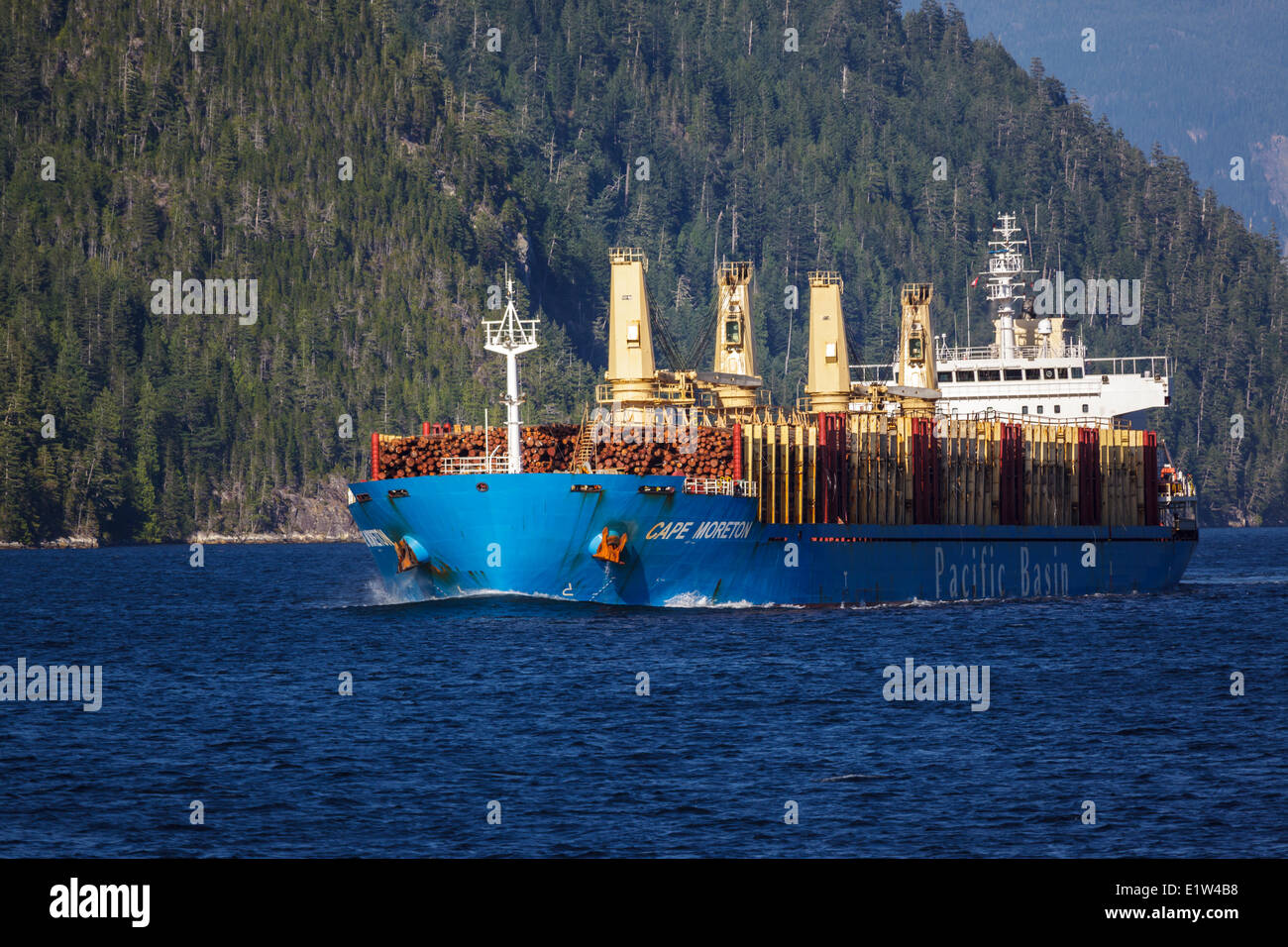 A giant tanker ship transports raw logs for export from British Columbia to Asia. Stock Photo