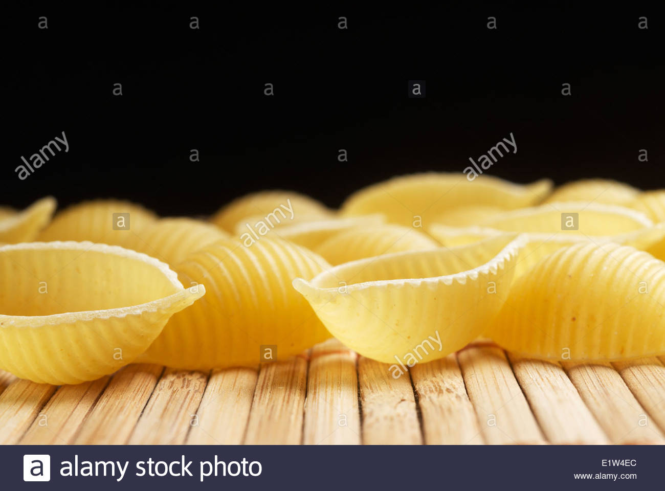 Closeup Shells High Resolution Stock Photography and Images - Alamy