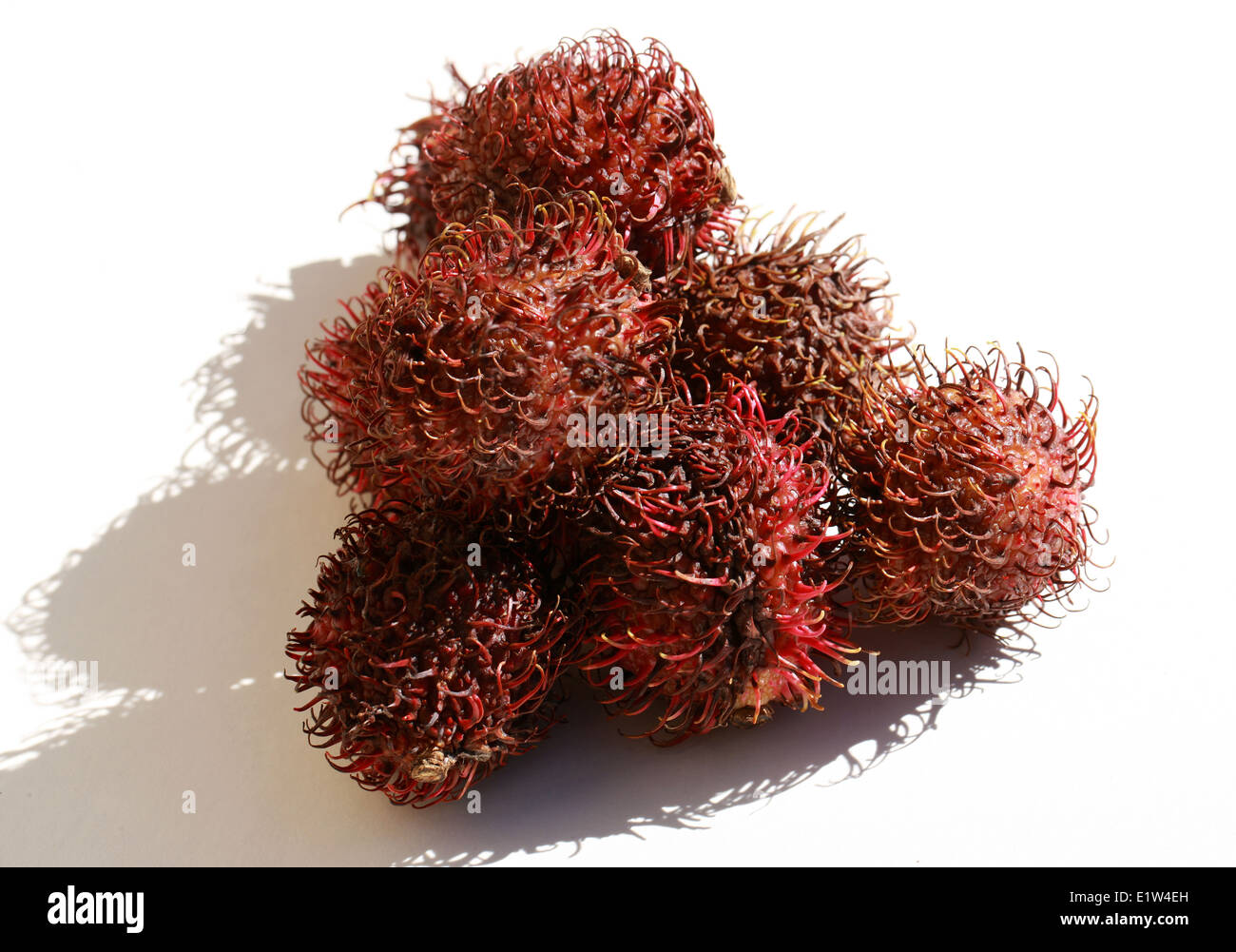 Rambutan Fruits, Nephelium lappaceum, Sapindaceae. Malaysia and Indonesia. Stock Photo