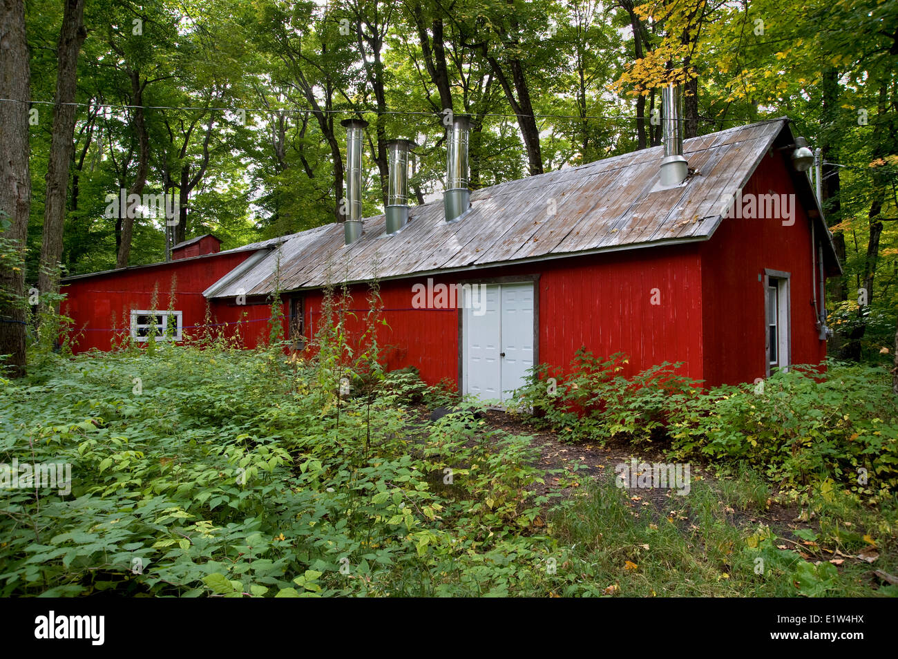 Quebec sugar shack maple hires stock photography and images Alamy