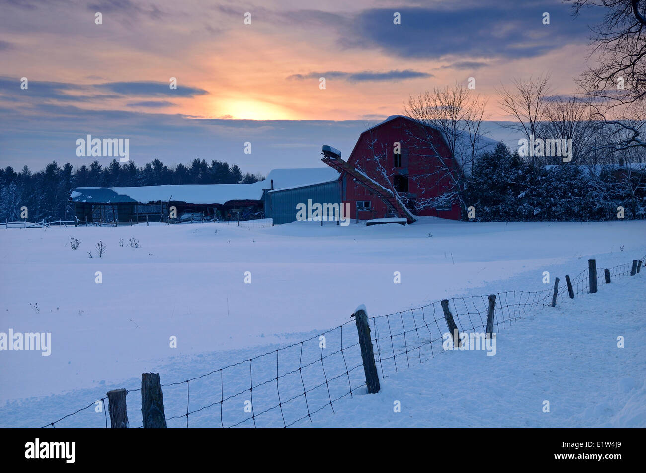 Ste cecile de milton hires stock photography and images Alamy