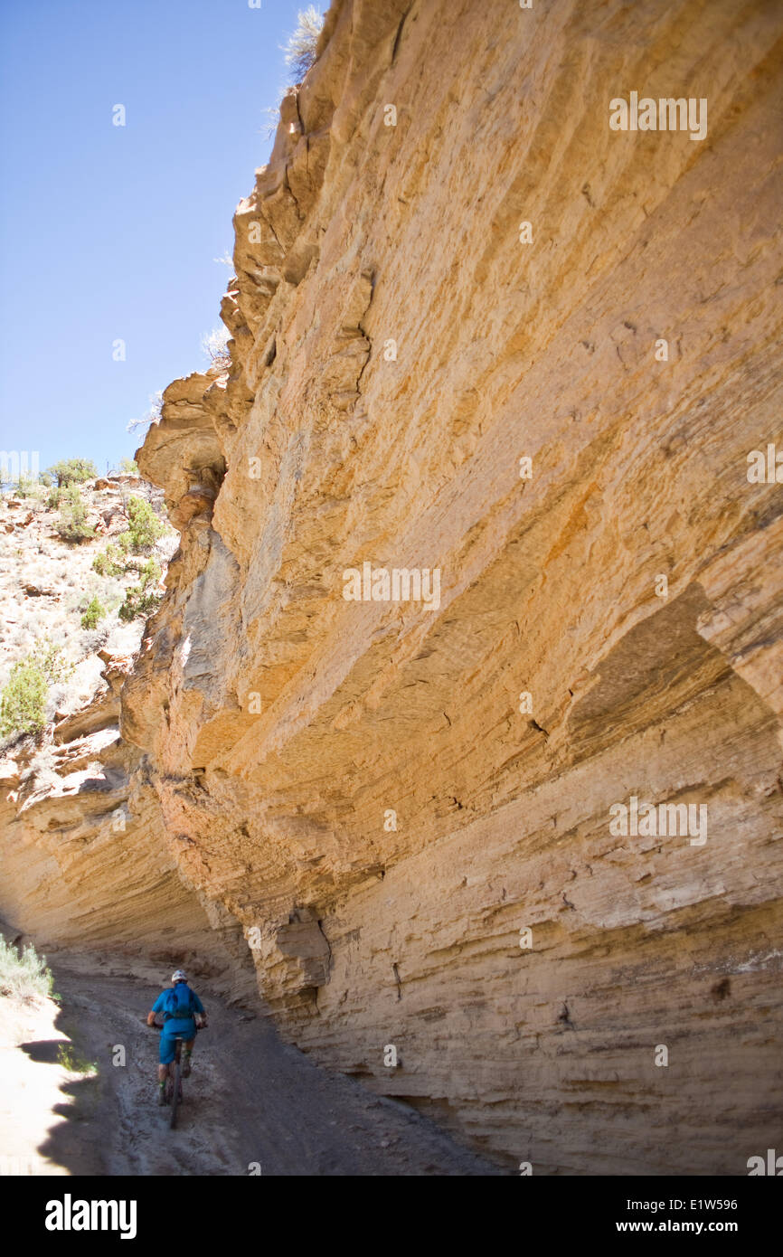 A male mountain biker riding the epic Edge Loop in 40 degree celsius heat, Fruita, CO Stock Photo