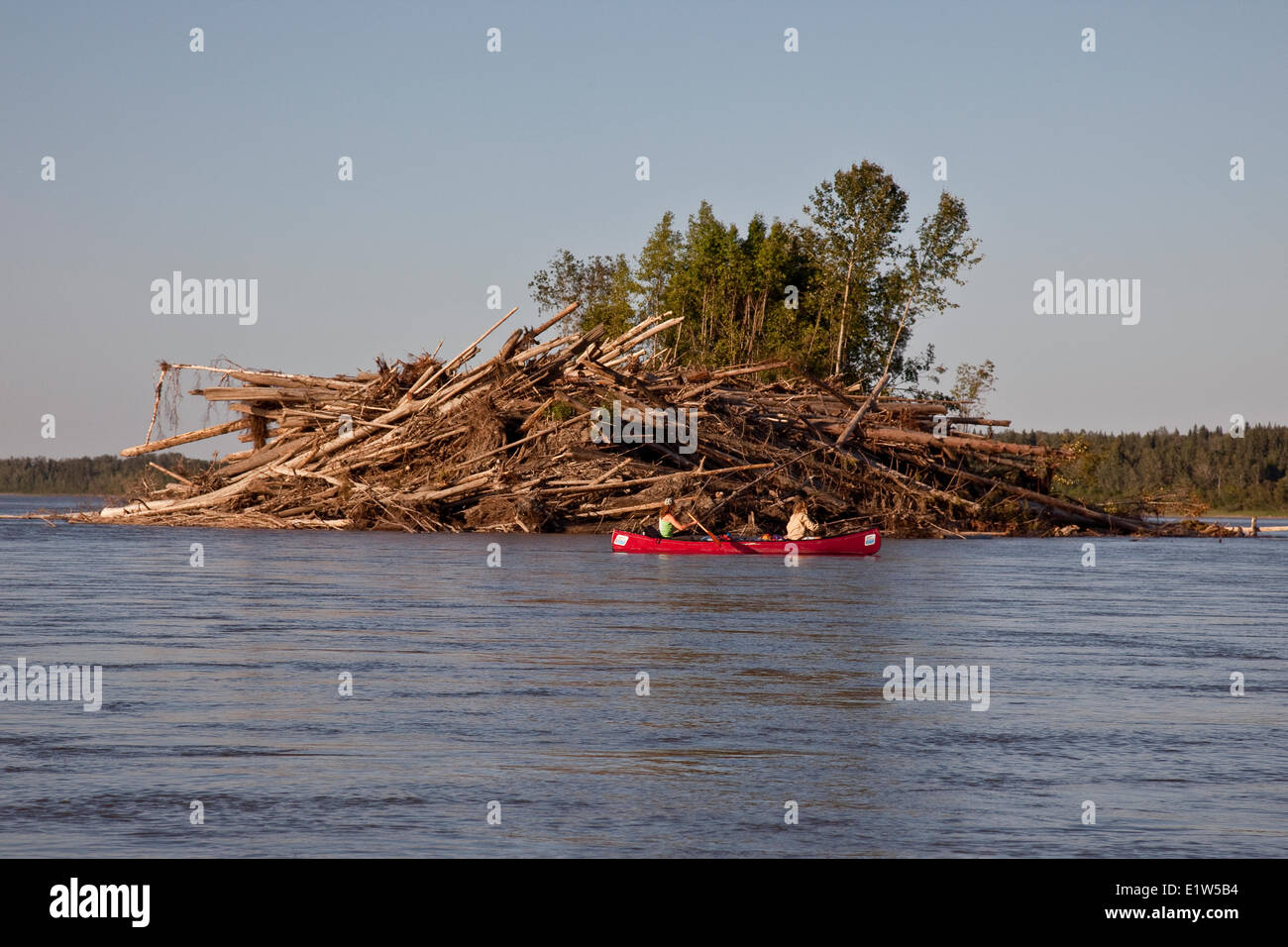 Two women paddle past debris pile from previous flood on Nahanni River, Nahanni National Park Preserve, NWT, Canada. Stock Photo