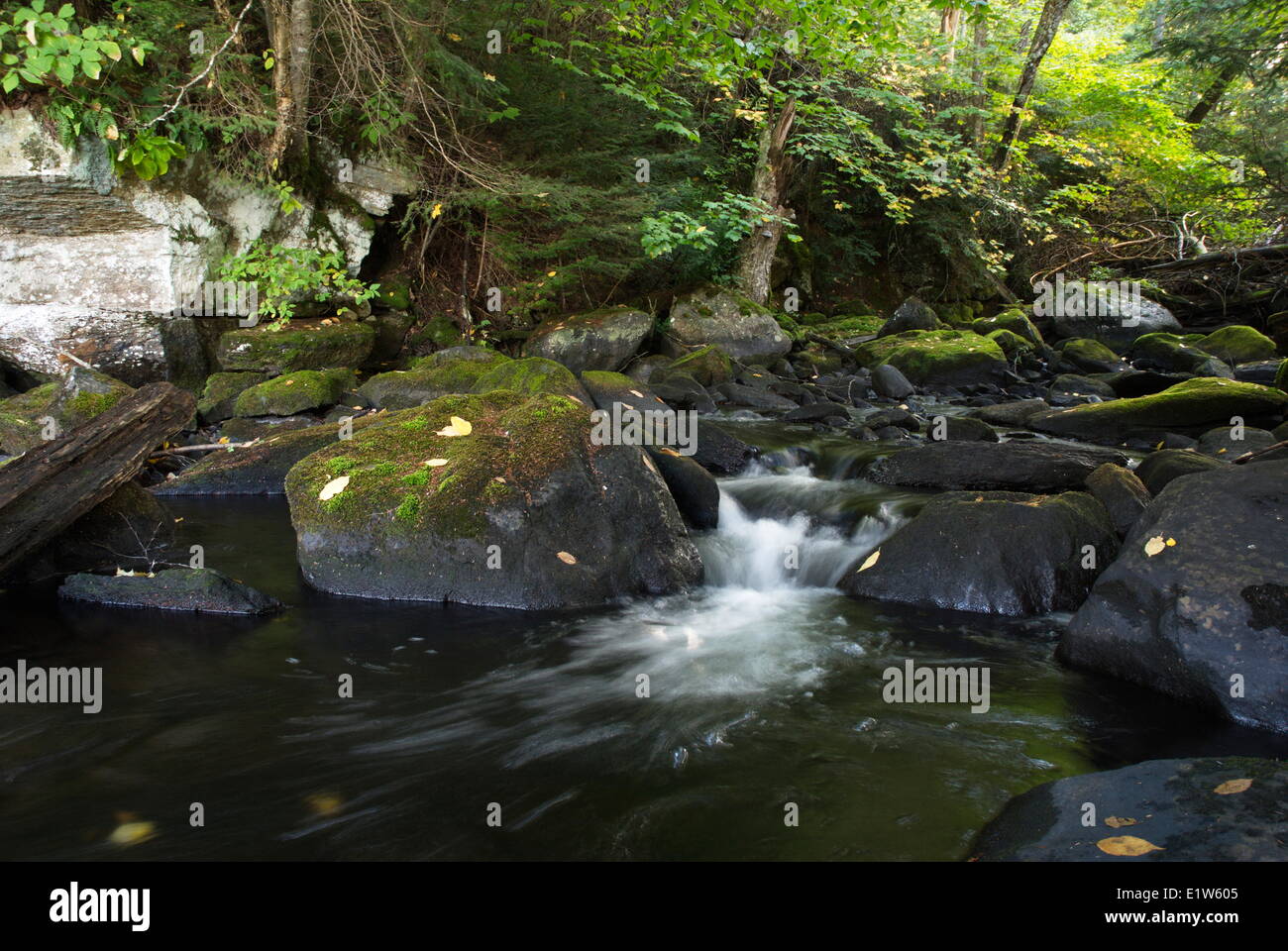 Madawaska River, Algonquin Park, Ontario, Canada Stock Photo