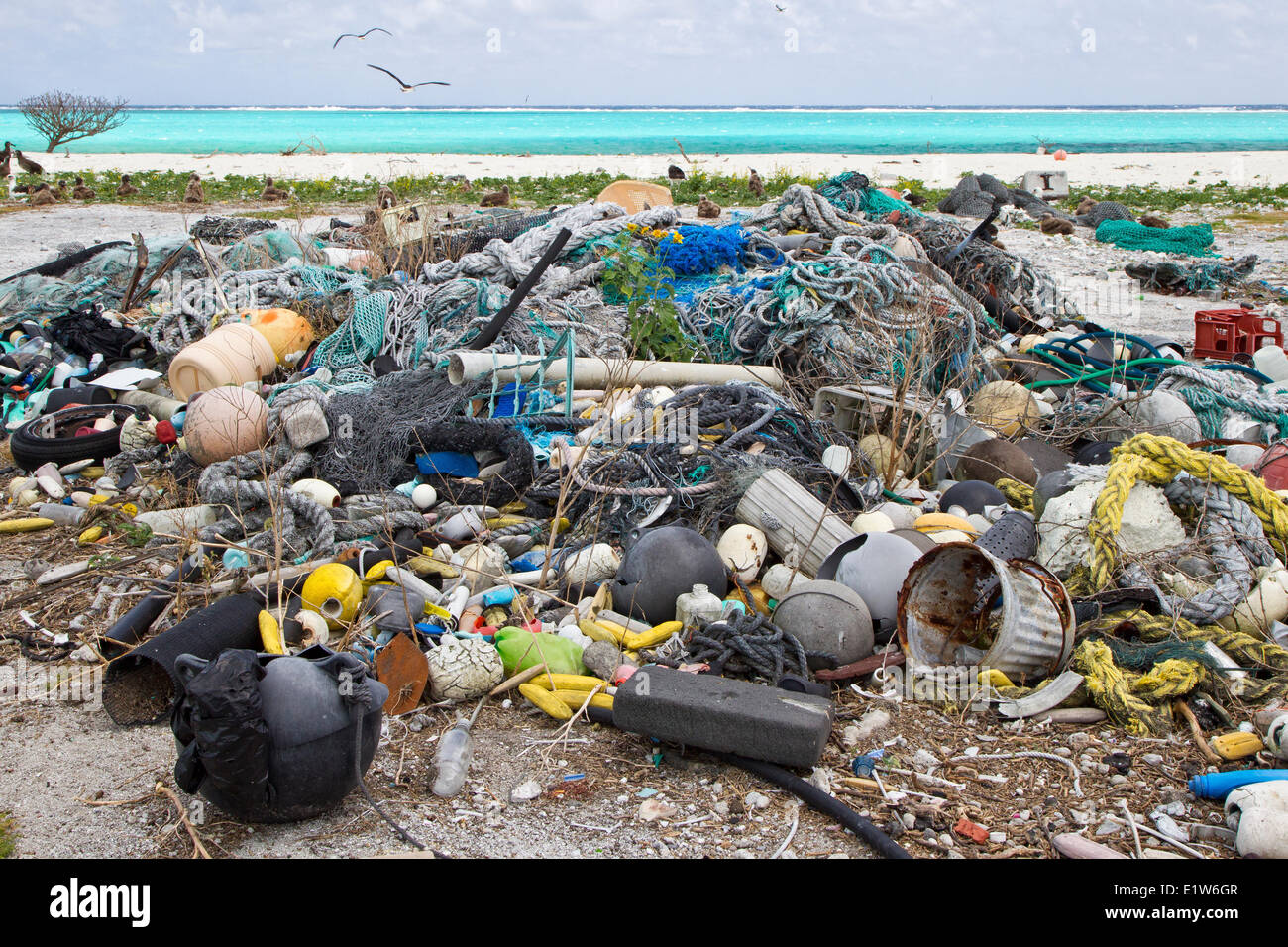 Plastic garbage collected research plot to assess plastic pollution Eastern Island Midway Atoll National Wildlife Refuge Stock Photo