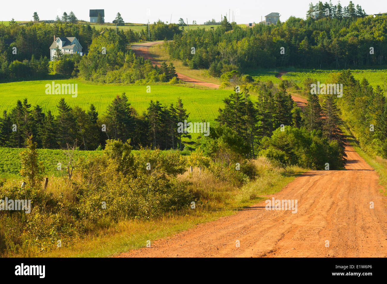 Clay road, Park Corner, Prince Edward Island, Canada Stock Photo Alamy