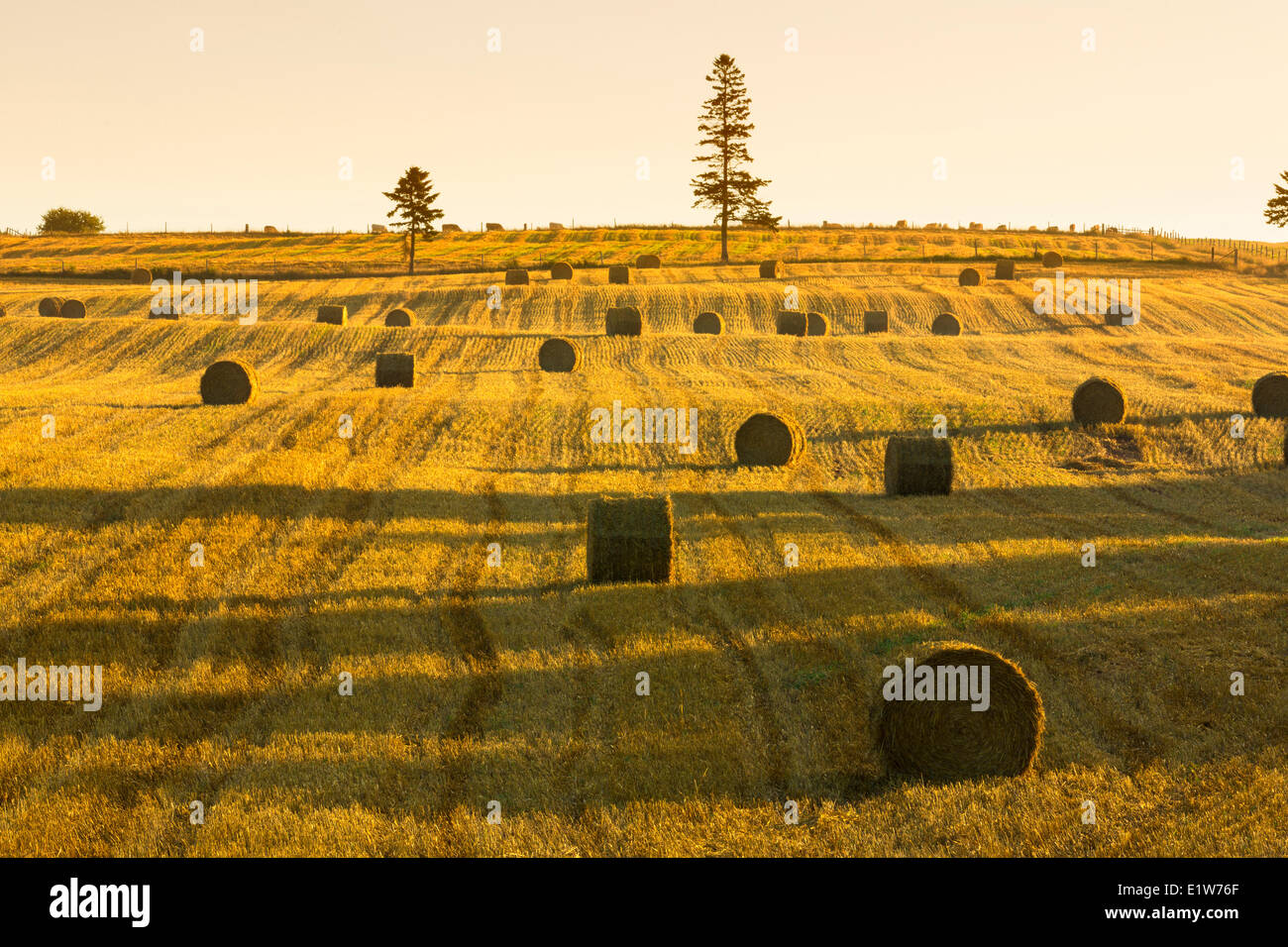 Hampton hill hires stock photography and images Alamy