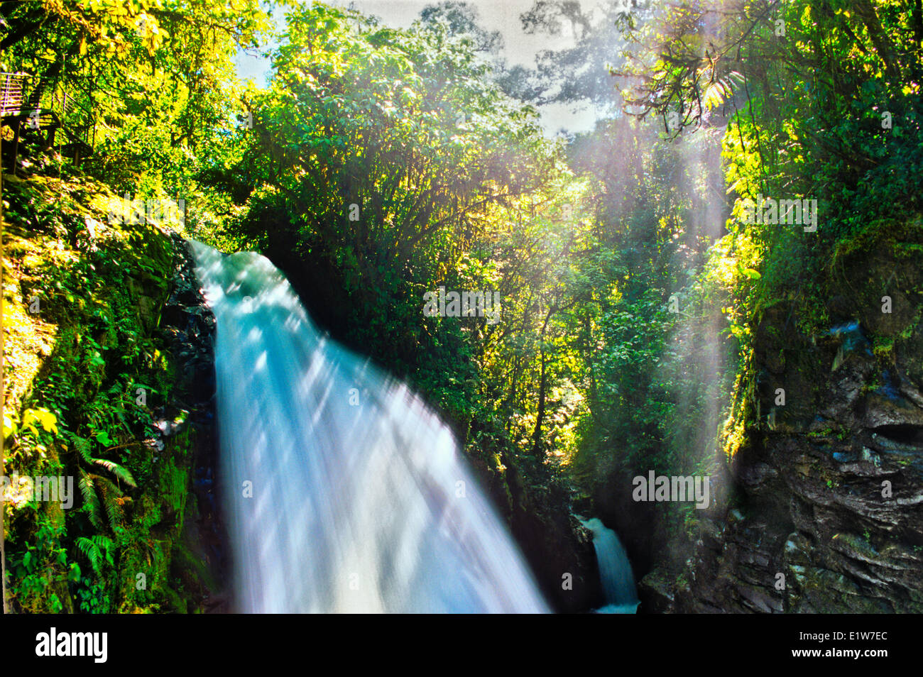 Waterfall in cloud forest, La Paz Waterfall Gardens, Costa Rica Stock Photo