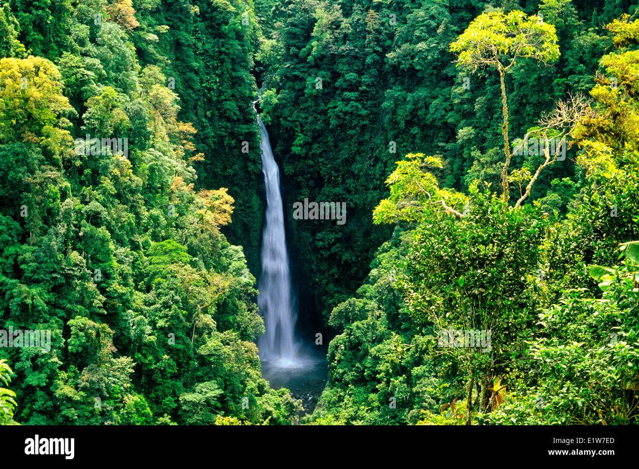 Waterfall in cloud forest, La Paz Waterfall Gardens, Costa Rica Stock Photo