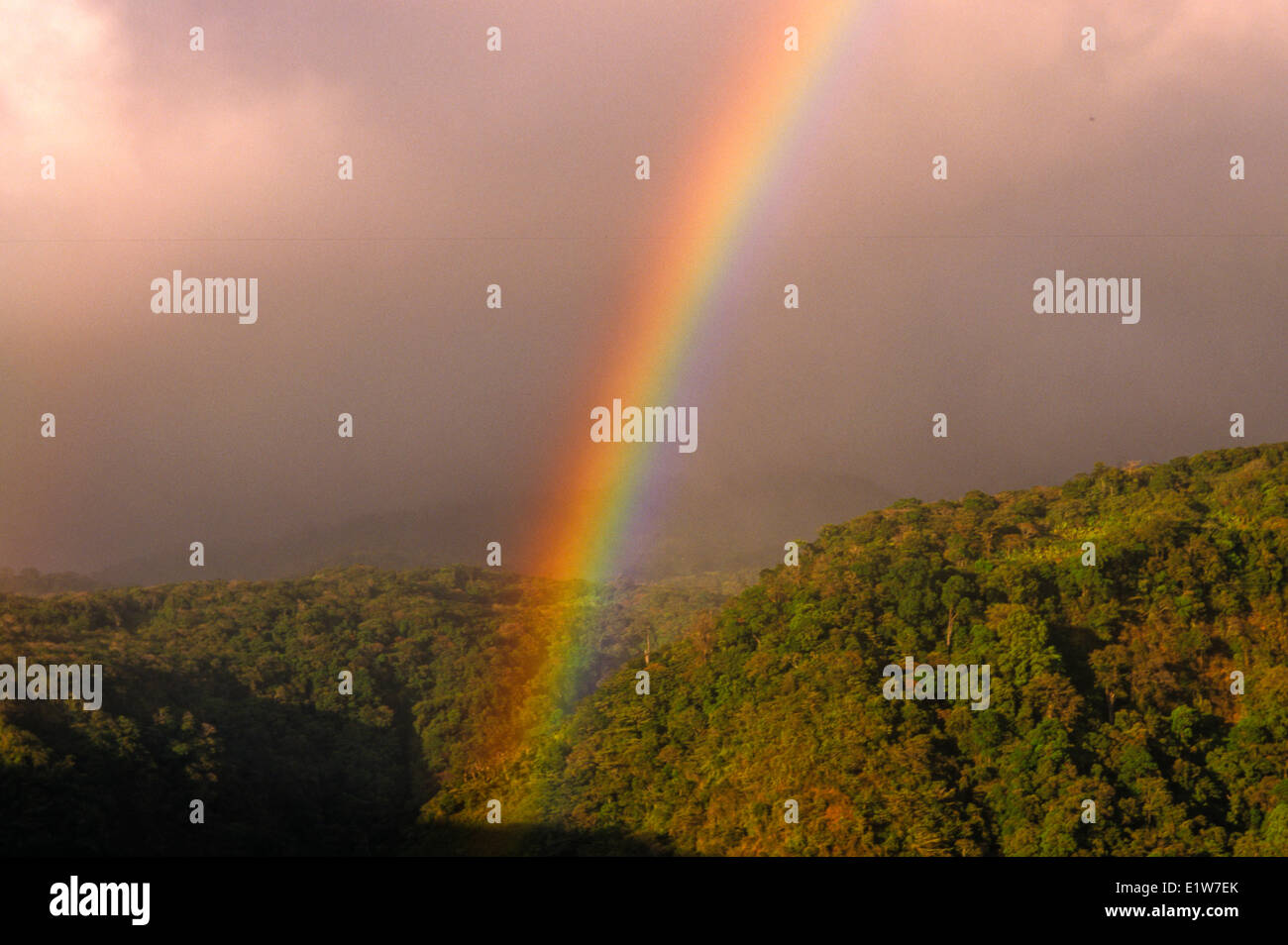 Rainbow over Monteverde Cloud Forest Reserve, Costa Rica Stock Photo